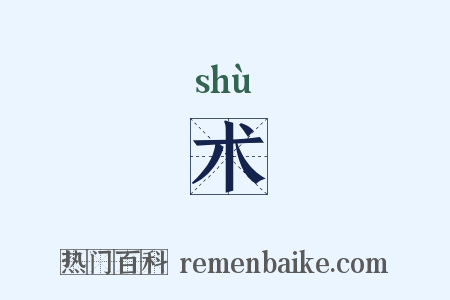 术是什么意思的图片